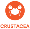 Crustacea allergen present