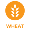 Wheat allergen present